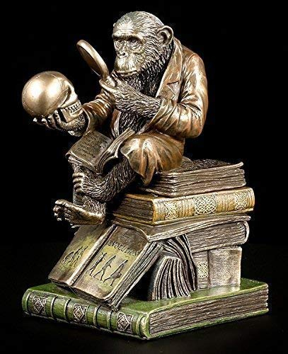 AFFE mit Schädel - Darwinismus Evolutionstheorie | Veronese Figur Statue Bronze-Optik