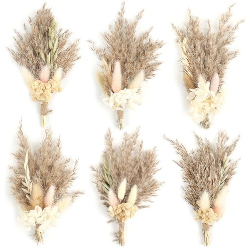 6Stück Mini Boho Getrocknete Blume Bouquet Trockenblumen Kleine Blumensträuße Mini Natürliche Echte Pflanzen für Hochzeit Tisch Mittelstücke Geschenkbox Kuchen Dekor Home Vase Dekor DIY Handwerk(01)