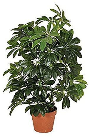 Planta artificial cheflera 65 cm altura, Catral 74010004