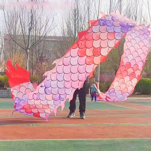 JAYWIS Dragon Poi Colorful Scale Dance Dragon Poi Kite, Washable Dragon Streamer Set with 3D Real-Like Dragon Head, Outdoor Physical Training Art Dance Flag (Color : Pink, Size : 6 m (20 ft))