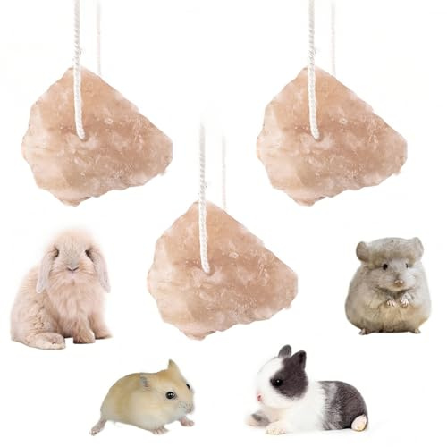 BCHMN 3 Stück Salzlecksteine mit Seil für Haustiere, Mineralstoffreicher Kauspielstein für Kaninchen Meerschweinchen und Eichhörnchen zur der Zahngesundheit und Beschäftigung