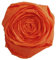 Clairefontaine 901058C Packung mit 10 Bögen Krepppapier, 2 x 0,5m, ideal für Schulaktivitäten, 1 Pack, orange