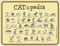 RAHMENLOS Original Blechschild für den Katzenfreund: Catipedia - alle Erklärungen auf einen Blick: Mieze stolz, neugierig, faul, Nr.3679