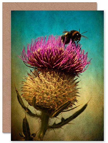 Wee Blue Coo Thistle Edinburgh Scotland Bumble Bee Grunge Birthday Sealed Greeting Card Plus Envelope Blank inside