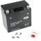 Gel-Batterie für BMW G 450 X, 2008-2011 (E45X), wartungsfrei, inkl. Pfand €7,50