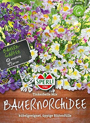 Sperli 85170 Bauernorchidee Tinkerbelle Mix (Blumenmischung)