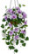 Briful 15.7 Hanging Basket Artificial Flowers Morning Glory Silk Flowers White Artificial Flower Fake Morning Glory Flowers Hanging Basket for Home Garden Decor