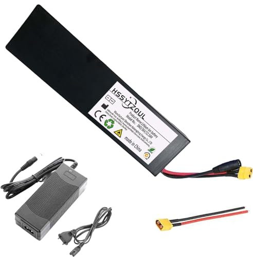 HSSYTZOUL 36V 48V Batterie pour Bicyclette Électrique Batterie pour Scooter Électrique 12.5AH Fonction De Protection BMS Intégrée Batterie Li-ION pour Scooter Électrique E-Bike,48v,12.5AH