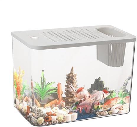 Ensemble Complet d'aquarium - Comprenant Un éclairage LED diurne, Un Filtre Interne, Un Chauffage, de la Nourriture pour Poissons Un conditionneur d'eau, Un Aquarium avec Couvercle, Un
