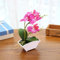 Elegante bonsai artificiale orchidea farfalla con vaso composizione floreale finta realistica per qualsiasi stanza (rosa rosso)