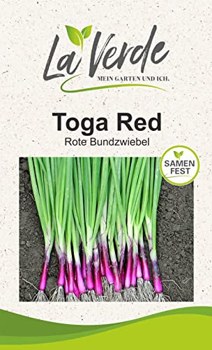 Toga Red Zwiebelsamen