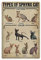 Arten von Sphynx Cat Poster Metall Blechschild Kunst Wandschild Dekor Vintage Retro Schild Eisen Malerei Aluminium Schild für Heimdeko Bar Shop Männer Höhle Outdoor Garage Indoor 30,5 x 20,3 cm