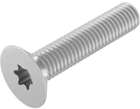 SECCARO Lot de 20 vis à tête fraisée M2 x 10 mm en acier inoxydable V2A VA A2, ISO 14581, six pans creux (TX), filetage complet