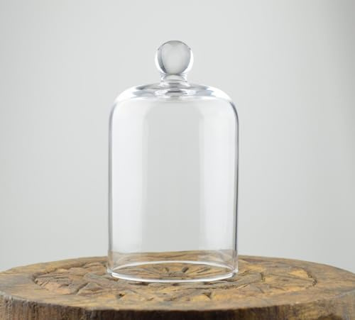 EMH Handmade Glass Display Cover Cloche Bell Dome With Knob Tall 14 cm x 8 cm