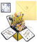 SHUBEIEUMI Birthday Card, Happy Birthday 3D Pop Up Card, with Note and Envelope, for Boys, Son, Brother, Nephew, Daughter Wife Husband Women