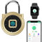 Vorhängeschloss Fitnessstudio Wetterfest Zahlenschloss - Fingerabdruck Bluetooth App eLinkSmart kein Schlüssel Schloss für Spind Schrank Fitnessstudio Schließfach Rucksack Aussenbereich Gold