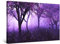 Startonight Impression Sur Toile Lumineux Forêt Violet Lumière Fantastique, Tableau Abstrait - Decoration Murale Salon Moderne - Image sur Toile - 60 x 90 cm Idée Cadeau Élégante et Originale