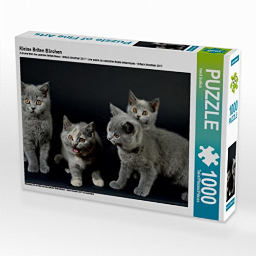 CALVENDO Puzzle Kleine Briten Bärchen 1000 Teile Lege-Größe 64 x 48 cm Foto-Puzzle Bild von Heidi Bollich