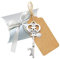 BITEYI 30 pcs Clé Décapsuleur Mariage Skeleton Key Ouvre-Bouteille avec Boîte à Bonbons et Tag Cartes,pour Fête Décoration (argenté 1)