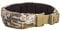 Tasmanian Tiger TT Warrior Belt MK IV MC Molle-kompatibler Ausrüstungs-Gürtel, Taktischer Einsatz-Gürtel, Multicam