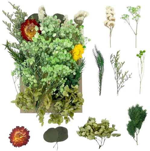 Getrocknete Blumen, gepresste Blumen, Trockenblumen, getrocknete Blumen, Basteln für Heimwerker, Kunstharz, Scrapbooking, Schmuckherstellung, Blumendekorationen (grün)