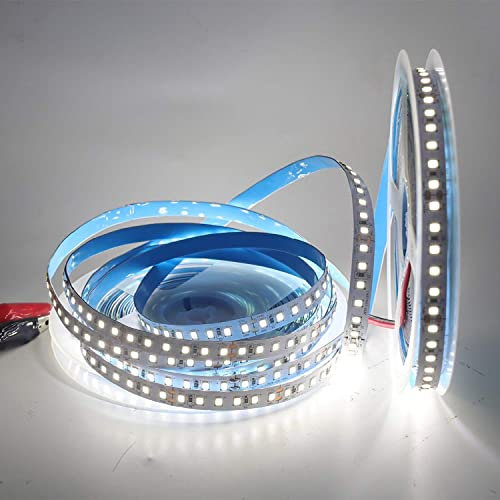 Xunata Tira de luces LED de 10 metros con cinta autoadhesiva, SMD 28310 120LEDs/m, CC 24 V, blanco frío 6000K-61000K