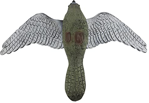 Halcón espanta pájaros y roedores de 52 cm de envergadura. Ideal contra Las molestas Palomas, mirlos y urracas.