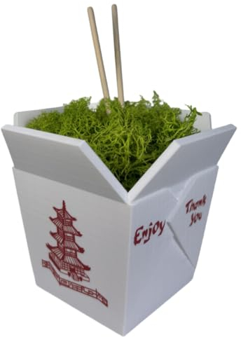 AXICIR Chinese Take-Out Box Planter 3D Printed Flower Pots for Indoor Plants Unique Gifts for Women (Moss Not Included)
