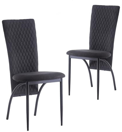 B&D home Esszimmerstühle THADDÄUS im 2er Set | Polsterstühle & Küchenstühle für Esszimmer, Wohnzimmer & Büro | Hochlehner Stühle mit bequemem Sitz | Modernes Design in Anthrazit