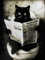 KUSTOM ART Poster mural décoratif série animaux meuble toilette chat avec journal sur eau impression artistique sur papier couché 40 x 30 cm sans cadre