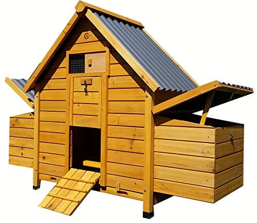 Cocoon ECO 6002N Chicken Coop – Wooden Hen House with Rot-Proof Plastic Roofs, Pull-Out Tray & Nest Box – Ideal for 4–6 Birds