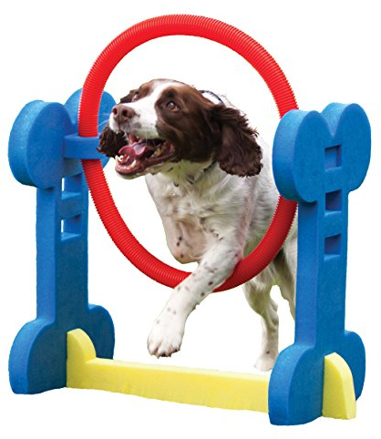 Rosewood 02497 Agility-Ring für kleine Hunde