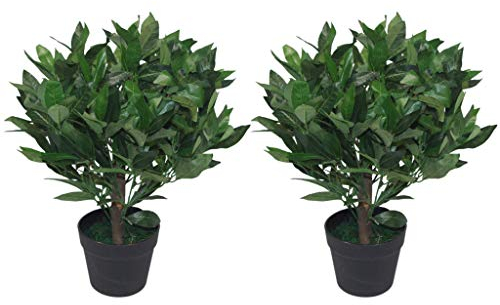 Leaf Design UK Pair of Artificial Bay Topiary Ball Trees, Mixed Materials, Green, 50cm