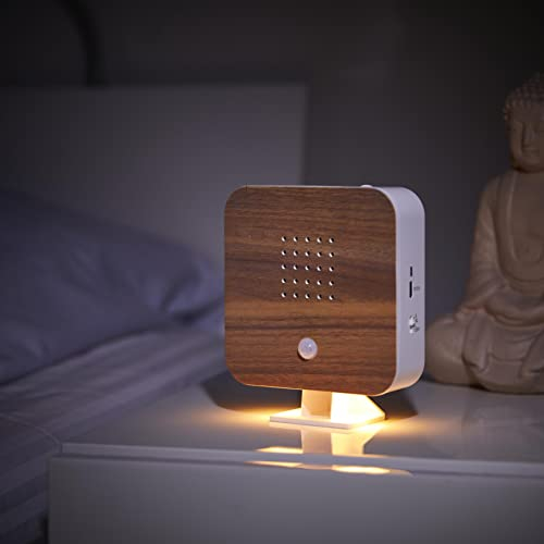 Northpoint Nature Sound Box Vogelgezwitscher Vogelgeräusche Box Motion Sensor Vogelgeräusche Licht Wiederaufladbar mit Wandhalterung Buche Winkel