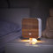 Northpoint Nature Sound Box Vogelgezwitscher Vogelgeräusche Box Motion Sensor Vogelgeräusche Licht Wiederaufladbar mit Wandhalterung Buche Winkel