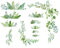SUPERDANT Green Plants Wall Stickers - Tropical Leaf Art, Hanging Vines Decals, Peel and Stick for Living Room, Bedroom, Balcony, Corridor, Window, TV, Florist