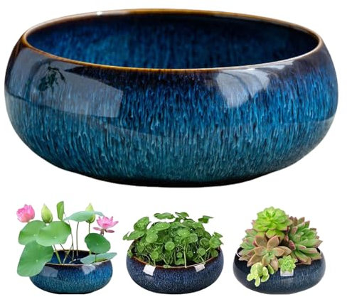 Maceta de loto, cuencos de loto para plantar en agua en interiores, cuenco de bonsái, maceta de semillas de flor de loto, decoración de macetas hidropónicas para interiores, maceta hidropónica blanca
