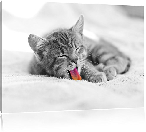 Pixxprint kleines gähnendes Kätzchen B&W, Größe: 60x40cm, Leinwandbild, fertig gespannt, Wandbild, Dekoration, Kunstdruck, kein Poster