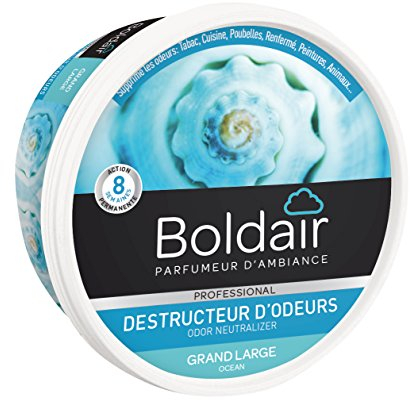BOLDAIR Gel Destructeur Odeurs - Lot de 2