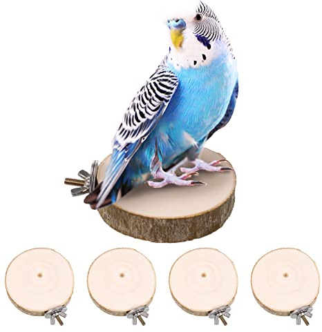 ALTcompluser 4 Pack Bird Perch Stand Platform Toy Parrots Cage Toys Round Wooden Springboard for Budgie, Cockatiels, Finches, Small Parakeets Bird Toys