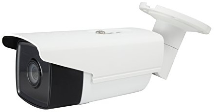 LevelOne fcs-5092 IP Security Camera Innen und Außen Ball Weiß – -Überwachungskamera (IP Security Camera, innen und außen, Ball, Weiß, Decken/Wandtattoo, IP67)