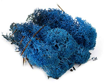 War World Scenics Blaue Lichen Modell Moos 60g - Flechte Laub Modellbau Modellbahn Wargame Tabletop Gelände Landschaft Baum Busch Hecke Diorama Basing