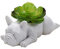 RNCOZE White Creative Dog Resin Plant Pot, Cute Animal Bonsai Holder, French Bulldog Succulent Planter for Office House Balcony Landscape Decor
