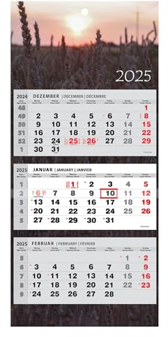 JAROGRAF Wandkalender 2026 – 3-Monats-Kalender mit praktischem Wandplaner für effiziente Jahresplanung, Feiertage, Schulferien und wichtige Termine (Feld) Dreimonatskalender