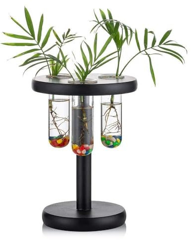 Pot de fleurs en verre avec 3 tubes à essai avec support en bois, terrarium rond en verre, pot de fleurs, pot noir, pour plantes hydroponiques, station de propagation, bureau, déco