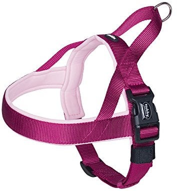 Nobby Norwegergeschirr Classic Preno, himbeere / pink L: 68-85 cm + 54 cm, B: 40/45 mm, 1 Stück