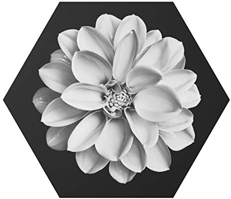 Hexagon Bild Forex - Dahlie Schwarz Weiß, 22cm x 25cm