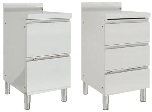 vidaXL 2X Gastro Küchenschrank mit Aufkantung Edelstahlschrank Arbeitsschrank Arbeitstisch Schrank Gastronomie Lagerschrank Edelstahl
