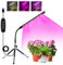 COKOLILA Luce per Piante con Supporto, Lampada per Piante a Spettro Completo Regolabile in Altezza con Timer 3/9/12 Ore, 10 Luminosità, 3 Modalità, Ideale per Piccole Piante (Senza Adattatore)