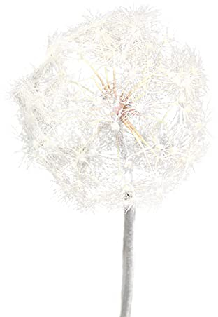 MISNODE Künstliche Löwenzahn-Blume, 91,9 cm, 2 Stück, riesige, schöne Kunstblume, künstlicher Löwenzahn, Brautstrauß mit Stiel für Zuhause, Büro, Dekoration, Weiß